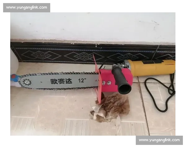 国外高效伐木:技术如何做到省时省力? 国外高效伐木:技术如何做到省时省力?