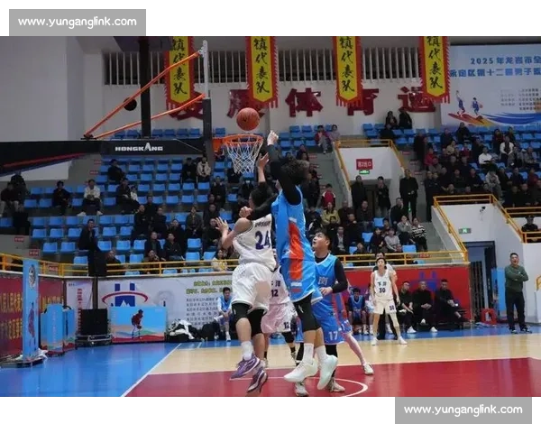 梦十二队强势对决中国男篮引发篮球热潮与时代记忆碰撞世界格局