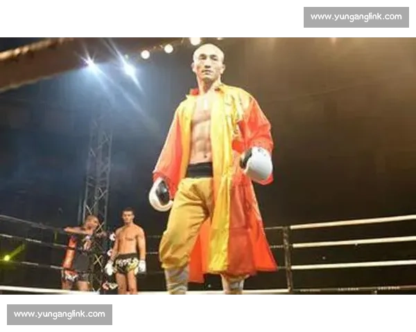 武林风巅峰对决一龙迎战海耶斯世界擂台谁能书写新的传奇