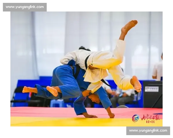 拳击与柔道对决：力量与技巧的终极碰撞