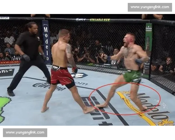 炮嘴康纳挑战不败梅威瑟世纪跨界拳坛巅峰对决引爆全球格斗商业神话